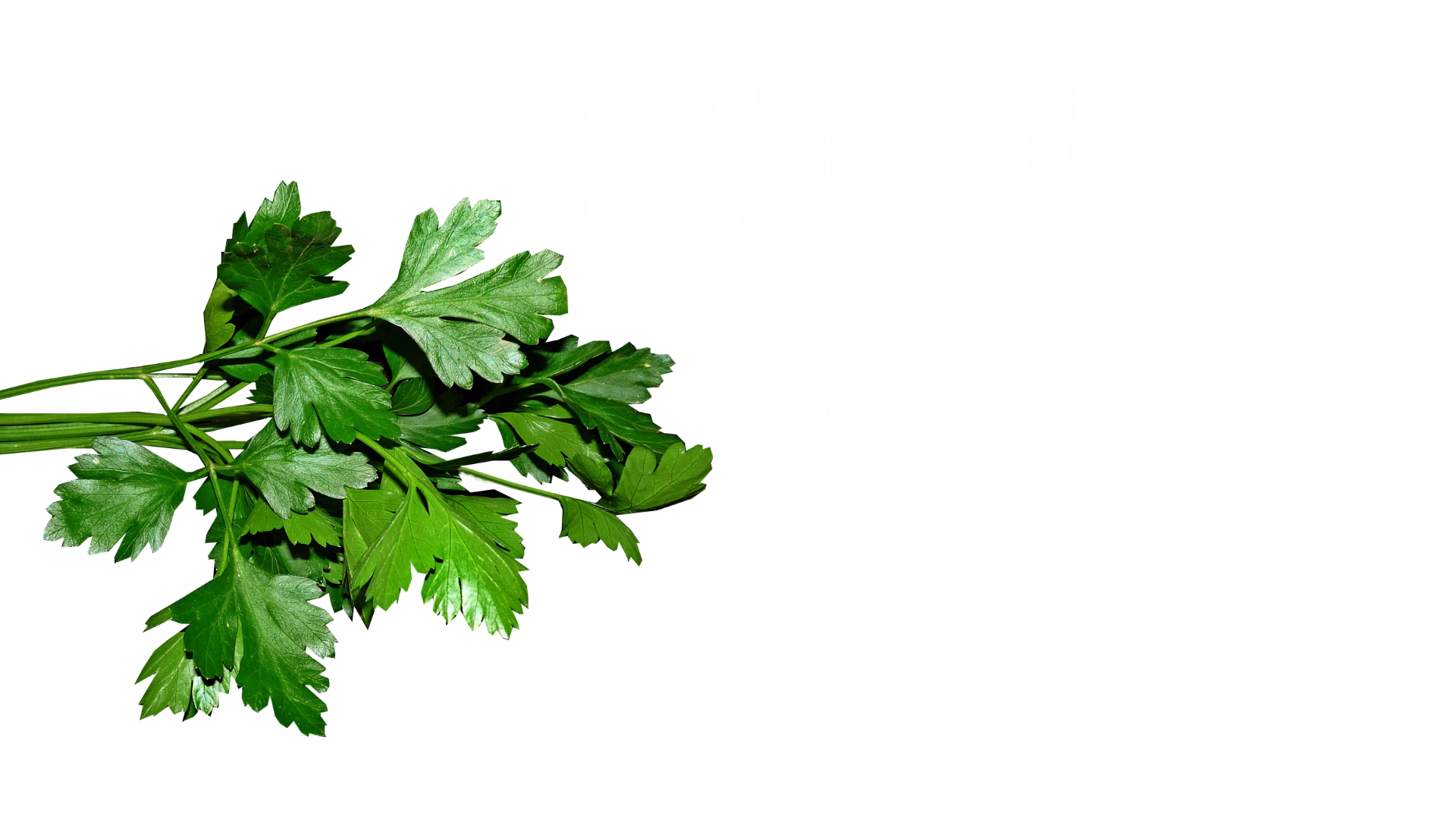 Міфи і реальність про інтервальне голодування